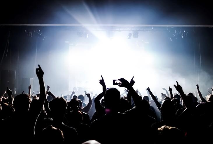 A crowd of people at a concert 
Description automatically generated with medium confidence